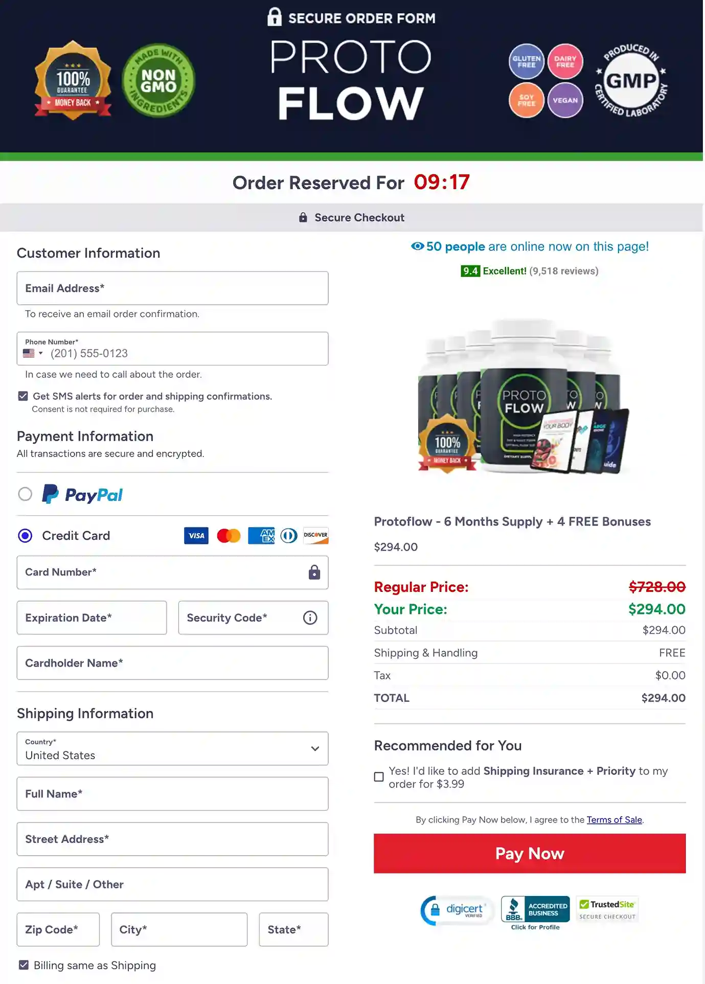 ProtoFlow Secure Payment — Visa Mastercard USA